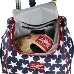 Cheapest ✨ Rawlings Legion Backpack: LEGION 🔔 -BaseBallBat Shop 91Sqp0F2IxL. AC SL1500