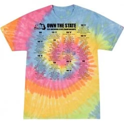 Best deal ✔️ DSG Apparel 2021 NSA Michigan State Championships Fastpitch Tournament T-Shirt 🌟 -BaseBallBat Shop STATEBACKtd