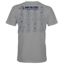 Best deal ✔️ DSG Apparel 2021 NSA Michigan State Championships Fastpitch Tournament T-Shirt 🌟 -BaseBallBat Shop STATEGREYBACK