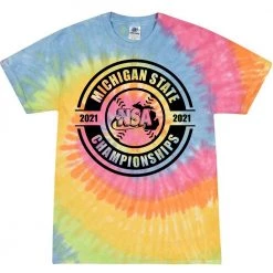 Best deal ✔️ DSG Apparel 2021 NSA Michigan State Championships Fastpitch Tournament T-Shirt 🌟