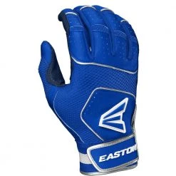 Discount 🌟 Easton Walk Off NX Youth Batting Gloves: A121262 👍 -BaseBallBat Shop WALKOFFNX RY RY A121254 backcopy bf61dd29 9b0e 46ae ab65 cb6a7d6c5001